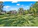 Large grassy backyard offering plenty of space for recreation at 7041 Timber Ridge Way, Land O Lakes, FL 34637