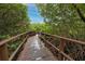 Wooden boardwalk through mangrove trees at 2909 Lichen Ln # A, Clearwater, FL 33760