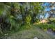 Large backyard with shed, tropical plants, and grassy area at 2905 W Fountain Blvd, Tampa, FL 33609