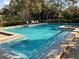 Community pool surrounded by trees and lounge chairs at 506 Lennox W Rd, Palm Harbor, FL 34683