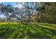 Expansive grassy yard with oak trees at 3106 E Trapnell Rd, Plant City, FL 33566