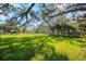 Large grassy yard with mature oak trees at 3106 E Trapnell Rd, Plant City, FL 33566