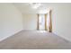 Spacious bedroom features carpet flooring, a ceiling fan and two windows for ample light at 5709 White Trillium Loop, Land O Lakes, FL 34639