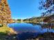 Scenic pond view with clear blue water, lily pads, and trees reflecting in the water under a clear blue sky at 5709 White Trillium Loop, Land O Lakes, FL 34639