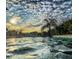 In-ground pool view with a cloudy sky and palm trees at 5709 White Trillium Loop, Land O Lakes, FL 34639