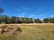 Wide shot of soccer field surrounded by sparse grass and trees, under a beautiful blue sky at 5709 White Trillium Loop, Land O Lakes, FL 34639