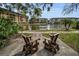 Scenic community view featuring a serene lake, lush landscaping, and relaxing Adirondack chairs, perfect for enjoying the outdoors at 5817 Park N St # 204, St Petersburg, FL 33709