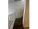 Carpeted staircase with white railing at 6023 Osprey Lake Cir, Riverview, FL 33578