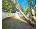 Backyard shed nestled amongst trees at 7521 Coventry Dr, Port Richey, FL 34668