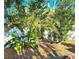 Landscaped backyard with tropical plants at 7521 Coventry Dr, Port Richey, FL 34668
