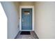 Modern blue front door with a glass panel and a brick pathway at 31371 Cabana Rye Ave, San Antonio, FL 33576