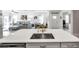Kitchen island with white countertop, sink, and built-in dishwasher at 31371 Cabana Rye Ave, San Antonio, FL 33576