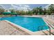 Large community pool surrounded by a white fence, covered area and plenty of seating at 5627 War Admiral Dr, Wesley Chapel, FL 33544