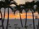 Beautiful sunset over the beach with palm trees in the foreground at 6388 93Rd N Ter # 4603, Pinellas Park, FL 33782