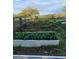 Multiple raised garden beds flourishing with green, leafy corn stalks on a rural property at 9229 Fort King Rd Rd, Dade City, FL 33525