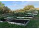 Raised garden beds on a farm with rich soil, ready for planting fruits, vegetables, or herbs at 9229 Fort King Rd Rd, Dade City, FL 33525