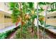 Lush tropical courtyard with palm trees and landscaping at 16308 Gulf Blvd # 303, Redington Beach, FL 33708