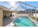 Large screened-in pool with open patio area at 2468 Aster Dr, Palm Harbor, FL 34684