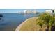 Waterfront view with grassy area and palm tree at 433 S Paula Dr # 32, Dunedin, FL 34698