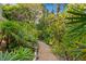 A gravel path winds through a dense, lush tropical garden at 711 Pinellas Point S Dr, St Petersburg, FL 33705