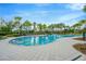 Community pool with palm trees and plenty of space to relax at 11926 Cinnamon Fern Dr, Riverview, FL 33579