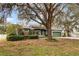 One story green house with red door, landscaping, and large tree at 2921 Juniper Lake Pl, Plant City, FL 33566