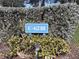 Building C-6218 sign with shrubs and landscaping at 6218 Palma Del Mar S Blvd # 503, St Petersburg, FL 33715
