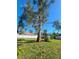 Large backyard with spacious grassy area at 735 Bertrend St, Englewood, FL 34223