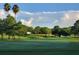 Lush green golf course with palm trees and fairways at 1112 Tartan Dr, Palm Harbor, FL 34684