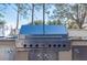 High-end Viking stainless steel grill at 3602 Juneberry Dr, Wesley Chapel, FL 33543