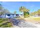 Ranch style home with a spacious yard and palm trees at 4234 Harrisburg Ne St, St Petersburg, FL 33703