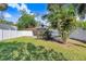 Spacious backyard with grassy area and palm trees at 1227 E Mohawk Ave, Tampa, FL 33604