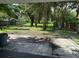 Large backyard with mature trees and a spacious grassy area at 1714 2Nd E Ave, Bradenton, FL 34208