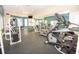 Well-equipped fitness center with various machines at 18128 Villa Creek Dr # 18128, Tampa, FL 33647