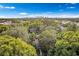 Aerial view of a house surrounded by trees with a city skyline in the distance at 807 E Genesee St # 1/2, Tampa, FL 33603