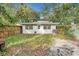 Private backyard with green lawn, fence, and mature trees at 807 E Genesee St # 1/2, Tampa, FL 33603