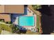 Aerial view of the community pool and surrounding area at 11616 Baywood Meadows Dr # 7, New Port Richey, FL 34654
