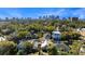 Wide aerial shot capturing a community surrounded by mature trees and city skyline at 408 E Amelia Ave, Tampa, FL 33602