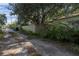 View down an alley with a wooden fence and overgrown vegetation at 757 50Th N Ave, St Petersburg, FL 33703