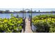 Private dock with a kayak and lush greenery, perfect for waterfront activities at 323 Coffee Pot Ne Dr, St Petersburg, FL 33704