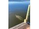 A manatee swims near a wooden dock at 323 Coffee Pot Ne Dr, St Petersburg, FL 33704