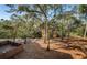 Wooded backyard with a partially visible brown fence at 514 Ryans Woods Ln, Palm Harbor, FL 34683