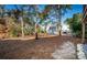View of backyard and neighboring building at 514 Ryans Woods Ln, Palm Harbor, FL 34683