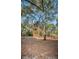 View of backyard with mature trees at 514 Ryans Woods Ln, Palm Harbor, FL 34683
