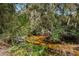 Small creek running through wooded area at 514 Ryans Woods Ln, Palm Harbor, FL 34683