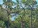 Enjoy a gorgeous pond view framed by lush green trees at 8198 Terrace Garden N Dr # 407, St Petersburg, FL 33709