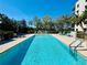 Long community pool with lots of sunlight and surrounded by lounge chairs at 8198 Terrace Garden N Dr # 407, St Petersburg, FL 33709