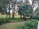 Backyard view featuring mature trees, manicured landscaping, and natural setting at 10 Woodridge Cir, Oldsmar, FL 34677