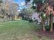 Landscaped backyard with lush greenery and trees at 10 Woodridge Cir, Oldsmar, FL 34677