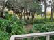 Deck overlooking a verdant backyard and golf course at 10 Woodridge Cir, Oldsmar, FL 34677